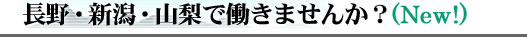 �إåɥ饤��˥塼��